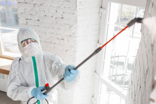  Statham, GA Mold Removal Pros