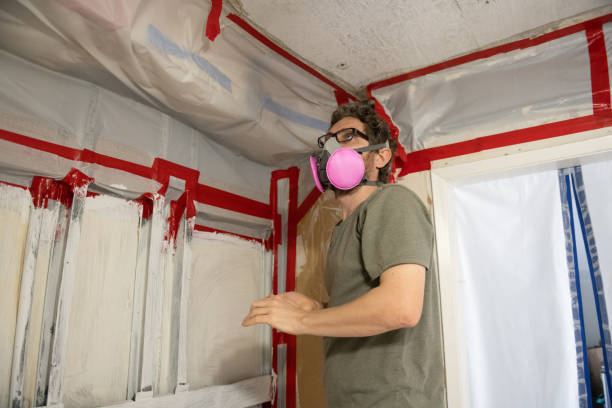 Best Emergency Mold Remediation  in Statham, GA