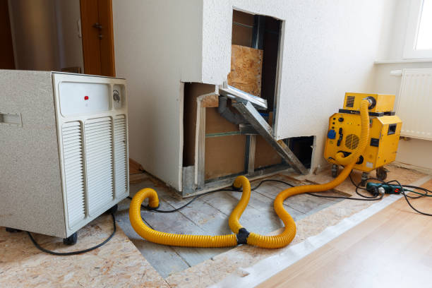 Best Asbestos and Lead Testing During Mold Inspection  in Statham, GA