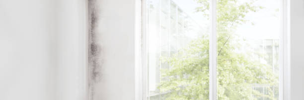 Statham, GA Mold Removal Company