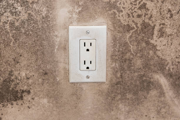 Best Attic Mold Removal  in Statham, GA