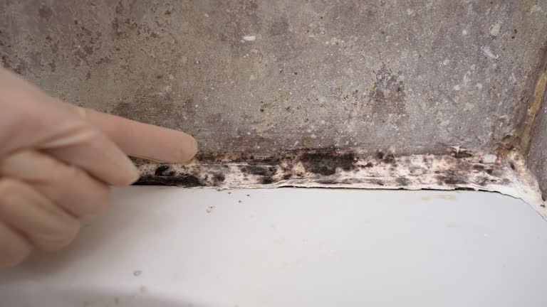 Best Industrial Mold Remediation  in Statham, GA